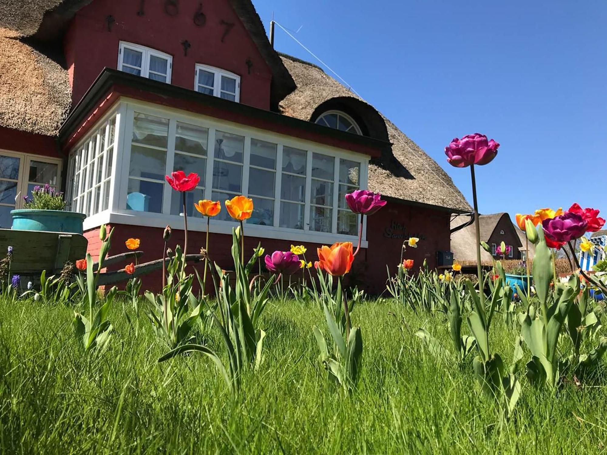 Hüs Sanskiin Ferienwohnung *Hopelfask* Suddorf Exterior foto